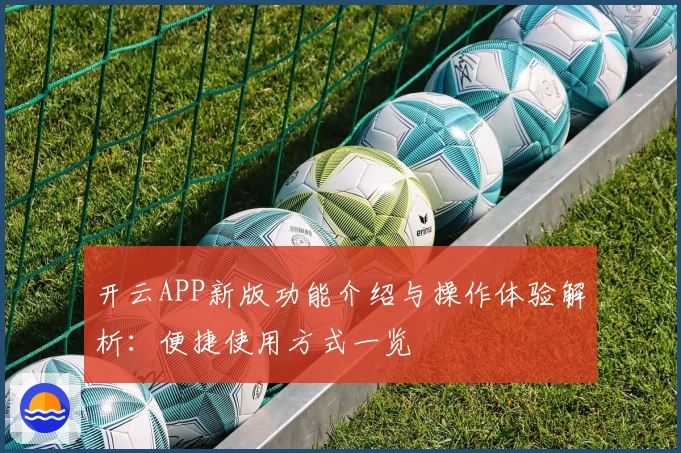 开云APP新版功能介绍与操作体验解析：便捷使用方式一览