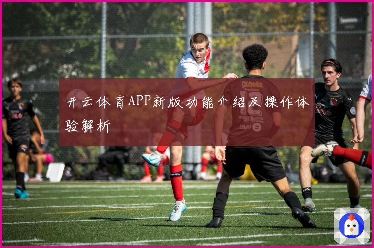 开云体育APP新版功能介绍及操作体验解析