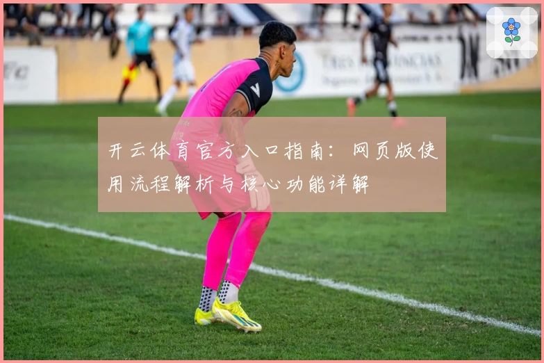 开云体育官方入口指南：网页版使用流程解析与核心功能详解